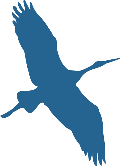 BayRidge Dental logo bird mark